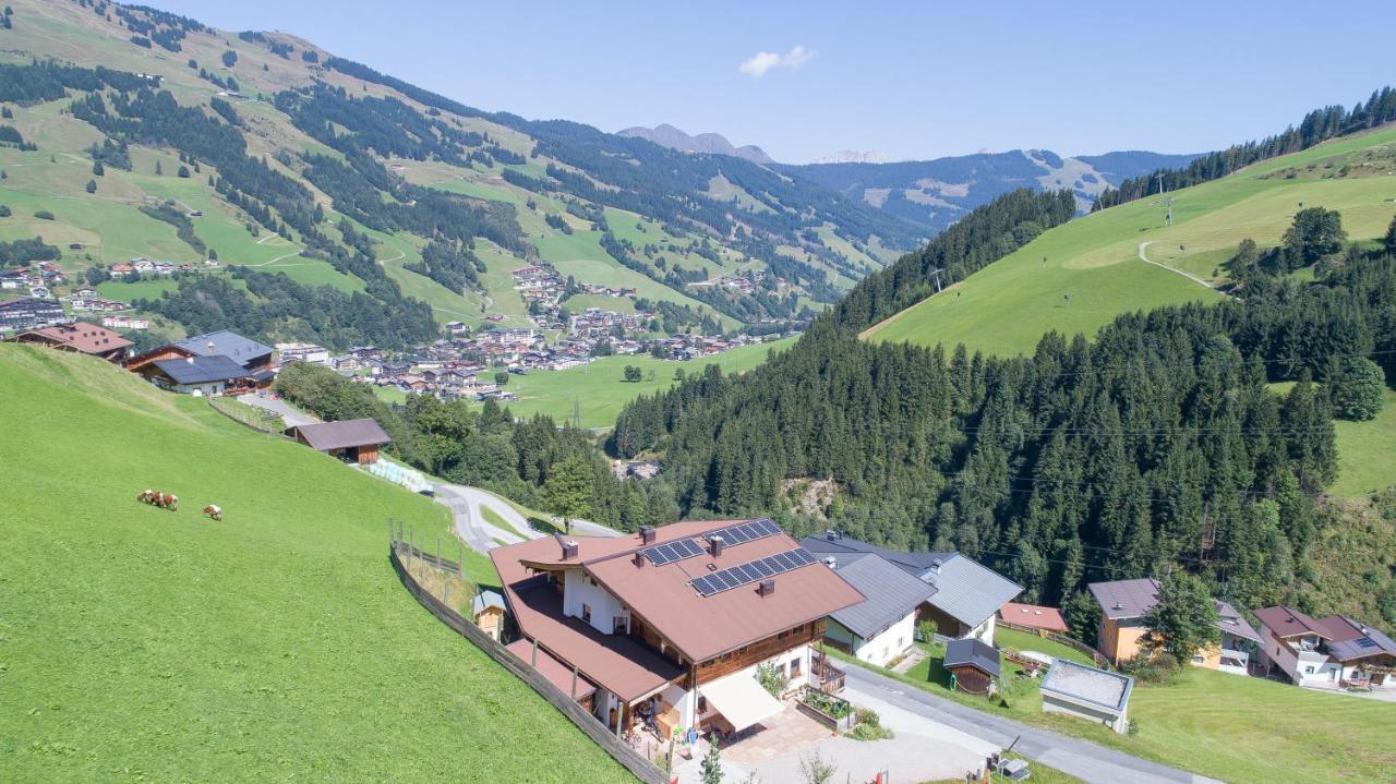 萨尔巴赫Landhaus Hinterglemm公寓 外观 照片